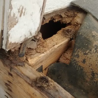 Home Inspection Red Flags