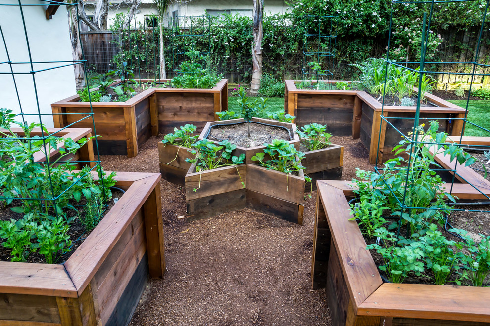 raised planter beds